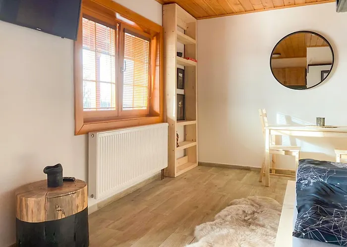 Farma Holy Vrch Apartment Kurdejov